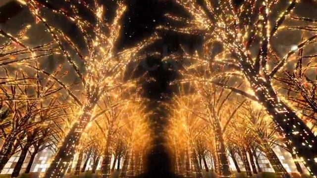 Stock Footage : Light illumination City Neon 2 Dd4s