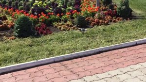 Город Холмск. Площадь Мира.