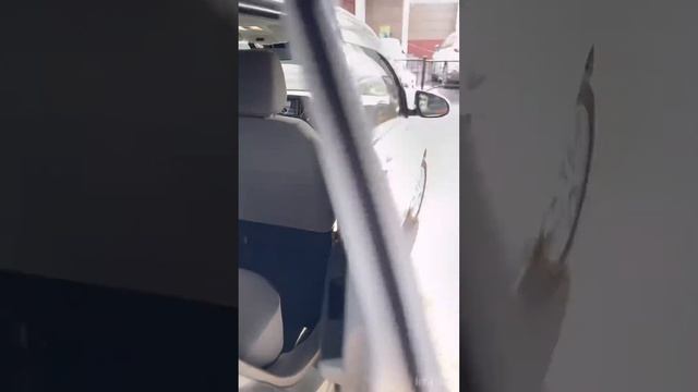 Toyota Passo(2020) 15т.км. за 775 тр. 😨😨😨 НОВОЕ АВТО