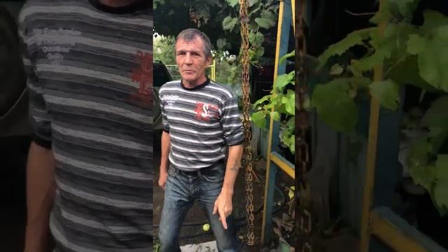 мне 50!!! а вам слабо? смотреть онлайн