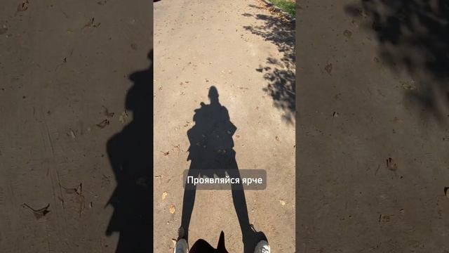 Важные моменты #гармонияссобой #жизньвкайф