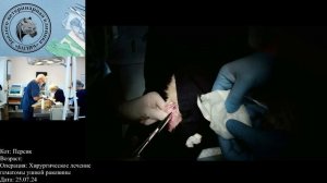 Хирургическое лечение гематомы ушной раковины кошки от 25.07.24