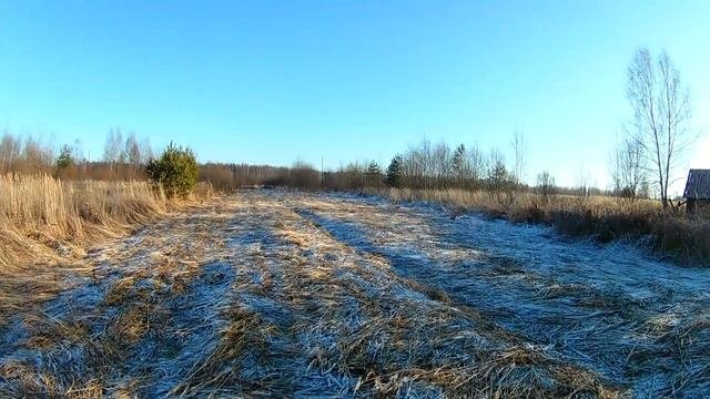 Пчеловоды без прав или новые ветеринарные правила!!!