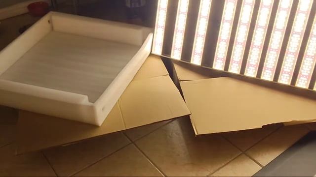 LIVE SAMSUNG 1000 WATT LED COMMERCIAL GROW LIGHTS X10