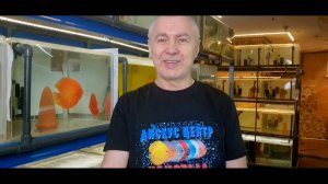 МИФЫ о ВОДЕ ДЛЯ ДИСКУСА! №2