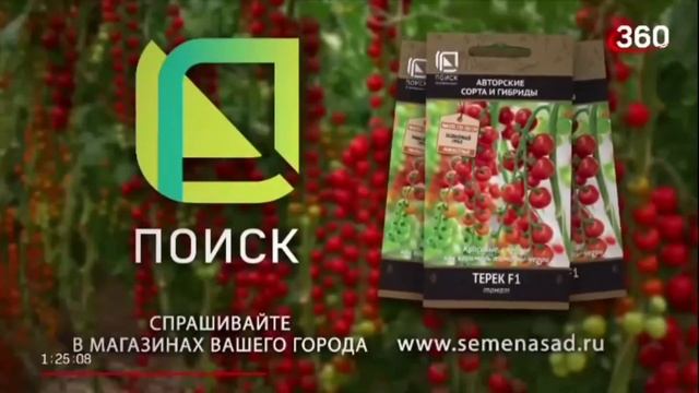 Анонс и Рекламный Блок (360 28.02.2023 12:42) смотреть онлайн