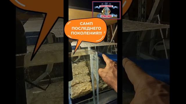 Самп последнего поколения!