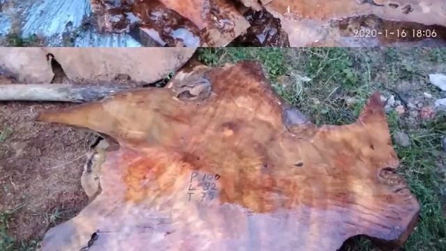 Javanica rich wood grupel wood burls смотреть онлайн