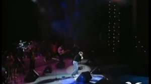 Festival de Viña 1991, Ricardo Montaner, Tan enamorados