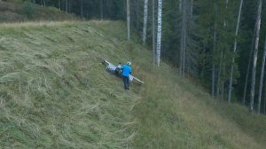 Демонстрация косилки Brielmaier на Приозерском шоссе (А-121 «Сортавала»)