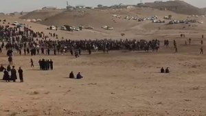 Купкари | Чопкир Отлар | Узбекский  Настоящий Лошади | O'zbek Otlari