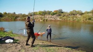 ОСТАВИЛИ ХОЗЯЙСТВО И УЕХАЛИ ЗА 200 КИЛОМЕТРОВ ОТ ДОМА | ТАКОГО ОТДЫХА МЫ ЖДАЛИ ДАВНО