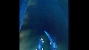 антена взрывается._.