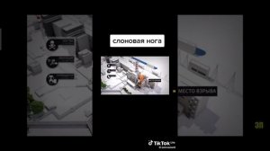 слоновья нога