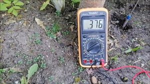 ЭЛЕКТРОГРЯДКА №5  на яблоне В ЗАМОРОЗКИ!