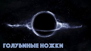 Голубиные ножки