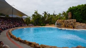 Лоропарк представление полностью