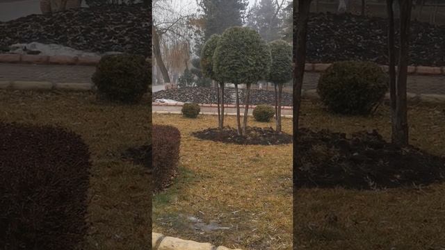 Утро в январе. Зарядка в парке. Чашка кофе #duck смотреть онлайн