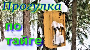 Январь морозы так и не наступили на путике тишина думаю закрывать строю планы на следующий сезон