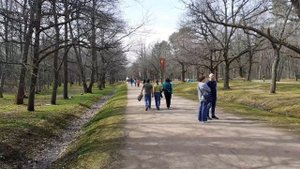 Снова посетил Сестрорецк. Курортный район Санкт-Петербурга.