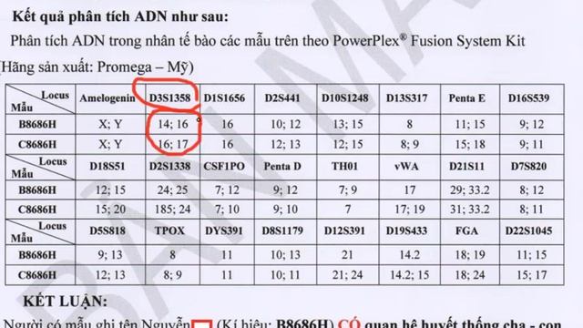 GIẢI MÃ P/P GiÁM ĐỊNH MẪU VÀ CÔNG BỐ KẾT QUẢ ADN . смотреть онлайн