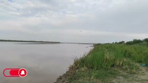 Амударёда балик ови