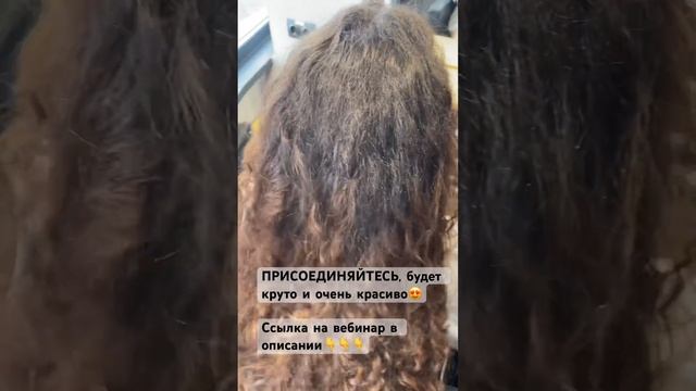 БРАЗИЛЬСКИЙ БЛОНД, жду вас на вебинаре  #hairdresser #колористика #расческатв