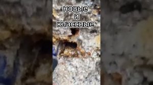 НАШЕЛ КРУТУЮ НАХОДКУ #metaldetecting