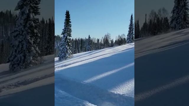 Счастье живет рядом с нами