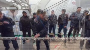 Паллада для практикантов. Автор: Наталья Гладских