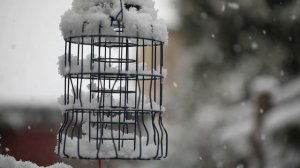 6585593-hd_1280_720_30fps