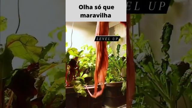 Que maravilha olha isso #shorts смотреть онлайн