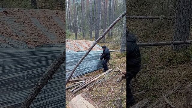 Рома СОШЕЛ С УМА!!! #shorts #short