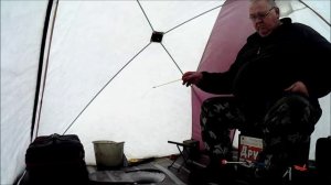 Опять Кокса и опять с рыбой! 18.01.2025г.