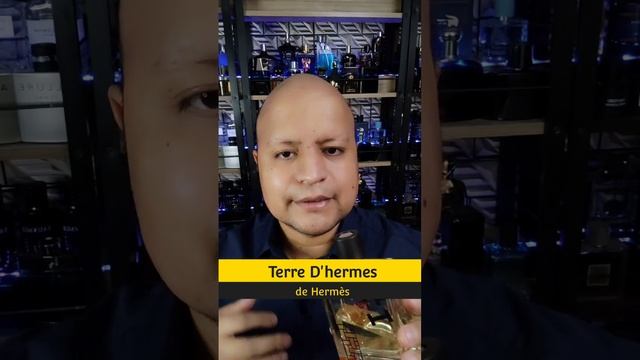 Terre D'hermes 😎👌🏻🍋🍊⛰️🌳 смотреть онлайн