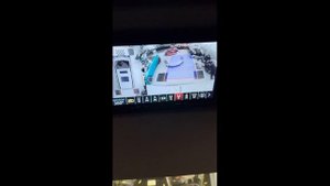 Система кругового обзора 3D SPEC STICK BIRDVIEW 360° на Газель НН