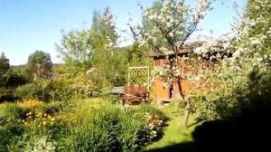 Опять змея !