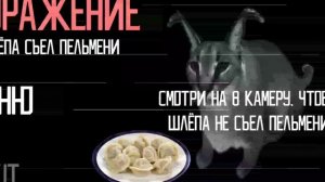ХОРОШИЕ ПЕЛЬМЕНИ, ЭТО ОЧЕНЬ ОЧЕНЬ ВКУСНО! #floppa