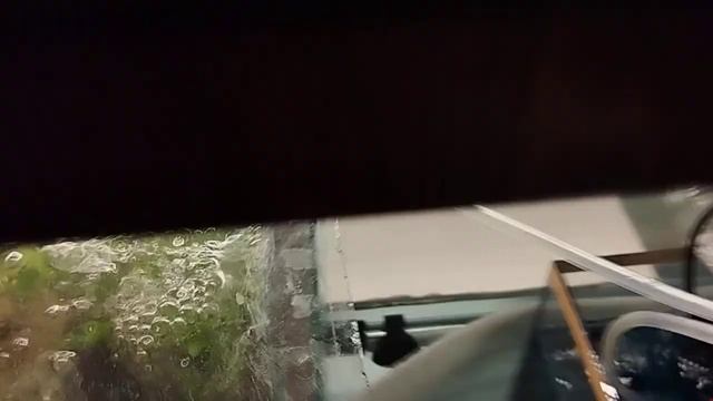Гурами. Теренция. Таракатумы под вопросом. Коридорас к белому уху. 😉😁😜 Гон Акар. Всем Салам алейкум
