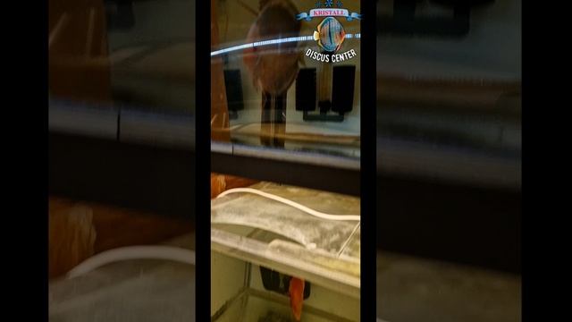 Новый эксперемент.