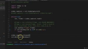 13.6. OpenCV Video Streams Input (Python)