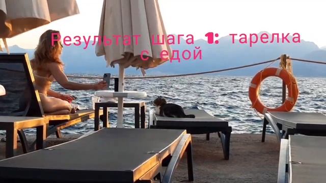 История про умную кошку в Анталии