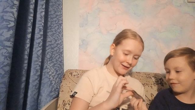 🍫🎂🍰🍭🍩🍪🍬🍭