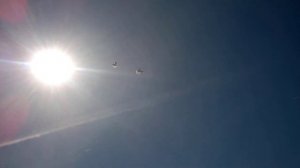 Серпастые голуби Волгодонск