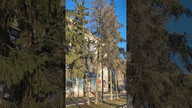 Великий Новгород 31 декабря 2024 года.