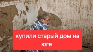 81//Купили старый дом в станице. Готовим новый курятник.Что делать с навесом.Можно и их заселять.