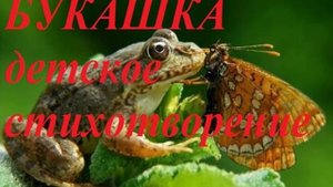 БУКАШКА стихотворение для детей и родителей)