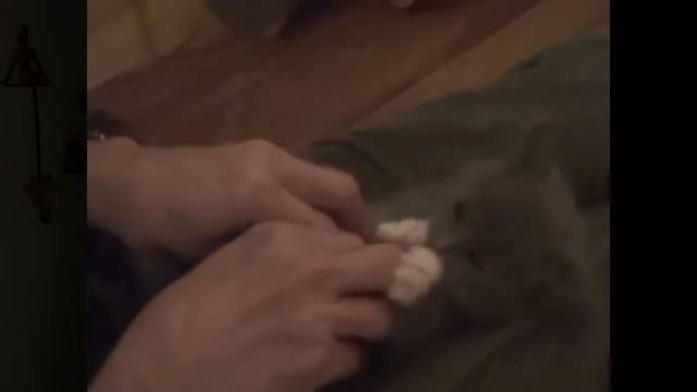 This is Хорошо АЗАЗАЗАЗ СМЕШНО ОЧЕНЬ СМОТРЕТЬ ДО КОНЦА!!!!!!!!!! MP4 смотреть онлайн