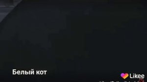 Леди баг и супер кот 3сезон 27серия 😘