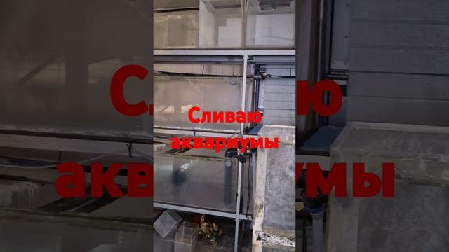 ФИНИШЬ ВСЕМУ!